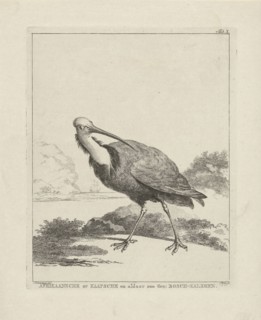 Turkey, Simon Fokke, 1722 - 1784