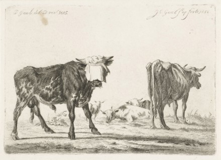 Blindfolded bull to herd cattle, Jacobus Cornelis Gaal, 1852