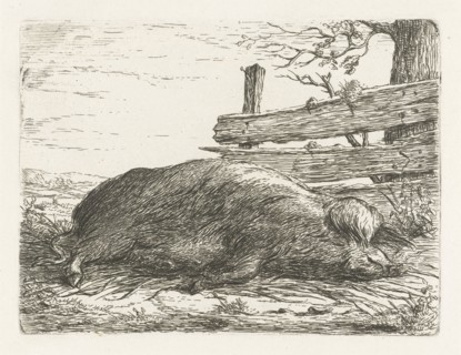 Lying boar, Jacobus Cornelis Gaal, Pieter Gaal, 1850
