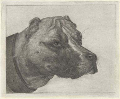 Dogs head with collar, Jacobus Cornelis Gaal, Pieter Gaal, 1852