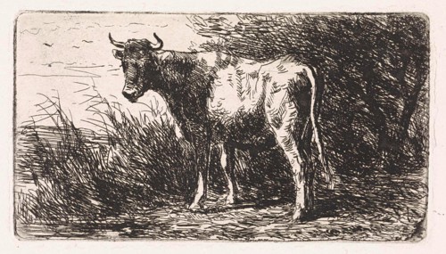 Cow on the bank of a river, Jan Vrolijk, 1860 - 1894
