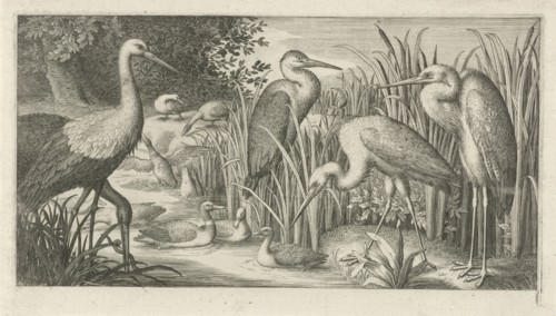 Storks and ducks at a pond, Jan van Londerseel, 1580 - 1625