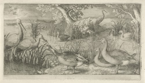 Waterfowl in a pond, Jan van Londerseel, 1580 - 1625