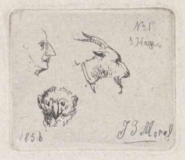 Mans Head, goat and owl, Jan Evert Morel (II), 1856