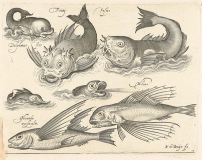 Fantastic invertebrates, including dolphin and dragonet, Nicolaes de Bruyn, 1581-1656