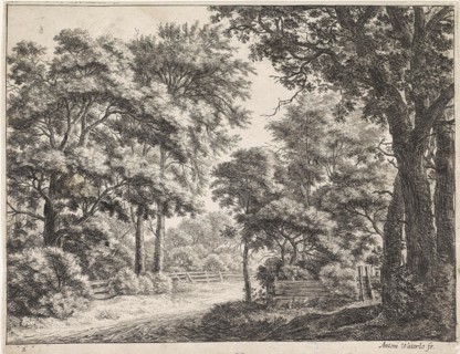 Large trees on either side of a path, Anthonie Waterloo, 1630 - 1663