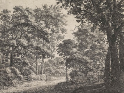 Large trees on either side of a path, Anthonie Waterloo, 1630 - 1663