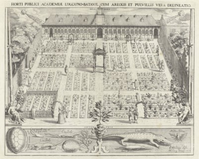 Hortus Botanicus of Leiden University, The Netherlands, Willem Isaacsz. van Swanenburg, Andries