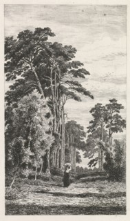 Dennenlaan, Alexander Mollinger, 1860