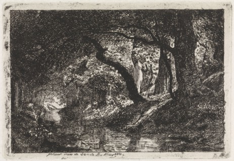 Wooded Landscape with stream and trees on shore, Julius Jacobus van de Sande Bakhuyzen, c. 1845 - c