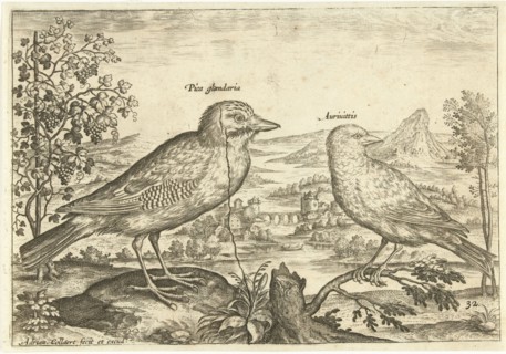 Two birds in a landscape, Adriaen Collaert, 1598 - 1602