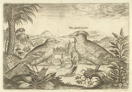 Two birds in a landscape, Adriaen Collaert, 1598 - 1602