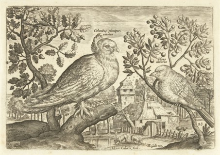 Two birds in a landscape, Adriaen Collaert, 1598 - 1618