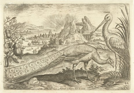 Two birds in a landscape, Adriaen Collaert, 1598 - 1602