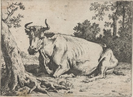 Lying cow near a tree, Paulus Potter, 1635 - 1654