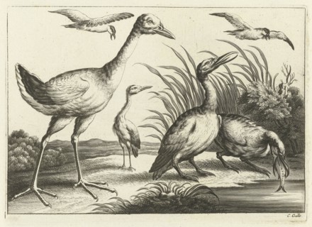 Waterfowl, print maker: Pieter van Lisebetten, Wenceslaus Hollar, Francis Barlow, 1654 - 1678