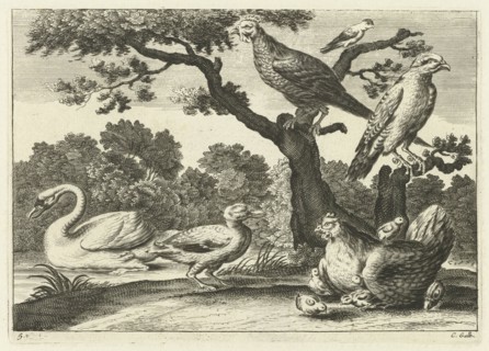 Swan, hen with chicks and other birds, Pieter van Lisebetten, Wenceslaus Hollar, Francis Barlow,
