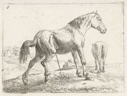 A horse, Jan van Aken, Jochem Bormeester, 1624 - 1661