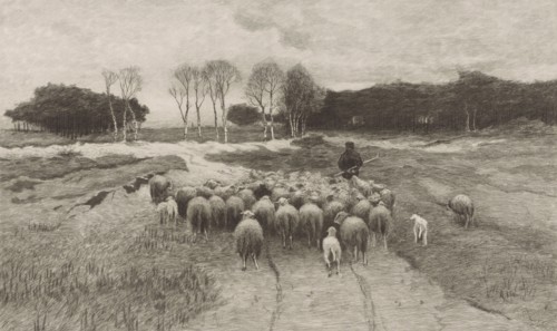 Shepherd, Elias Stark, 1889