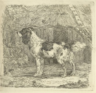 Dog standing in loft, Jan Dasveldt, 1780 - 1855