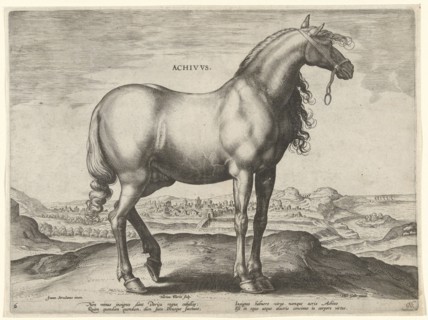 Horse from Greece (Achivus), Hieronymus Wierix, Philips Galle, c. 1583 - c. 1587