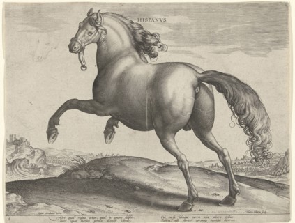 horse from Spain (Hispanus Alter), Hieronymus Wierix, Philips Galle, c. 1583 - c. 1587