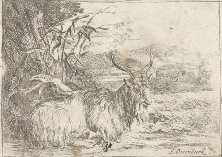 Goat under a tree, Jan van Ossenbeeck, Nicolaes Pietersz. Berchem, 1647 - 1674