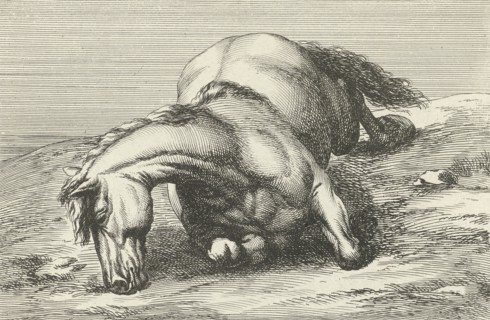 Killed horse, Jan van Huchtenburg, Adam Frans van der Meulen, unknown, 1674 - 1733
