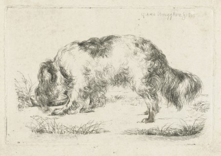Drinking dog, Guillaume Anne van der Brugghen, 1832