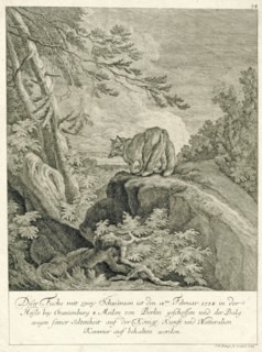 A fox with two tails, Johann Elias Ridinger, 1708 - 1767