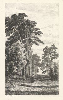 Dennenlaan, Alexander Mollinger, 1860