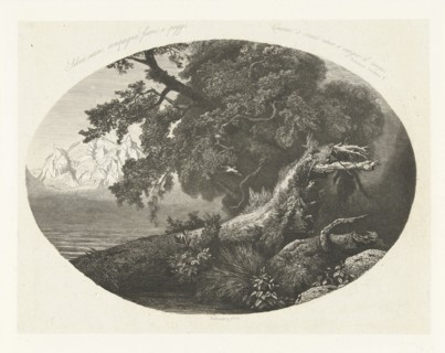 Uprooted tree trunk on the coast, Pierre Louis Dubourcq, 1856