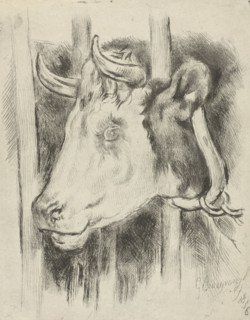 Head of a cow, print maker: Gijsbertus Craeyvanger, 1836