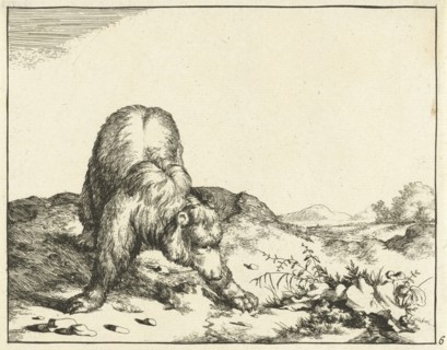 Standing Bear, from the front, the front legs wide apart