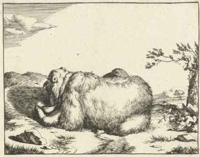 Reclining bear, from behind, drinking from bowl, Marcus de Bye, Marcus Gerards (I), 166 - 1664