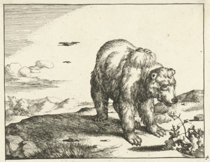 Standing Bear at plant, Marcus de Bye, Marcus Gerards (I), 1664