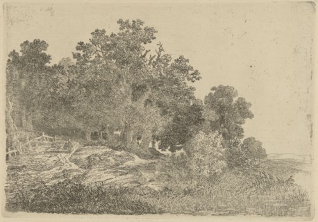 Forest view, Remigius Adrianus Haanen, c. 1827 - 1888