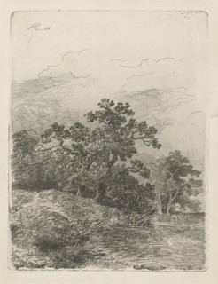 Forest scene with a lake, print maker: Remigius Adrianus Haanen, 1848