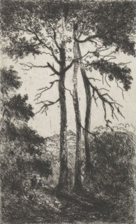 Three trees in a landscape, Arnoud Schaepkens, 1831 - 1904