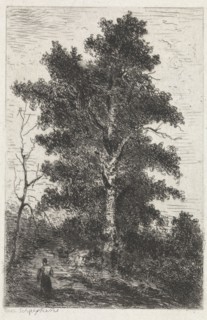 Beech, print maker: Arnoud Schaepkens