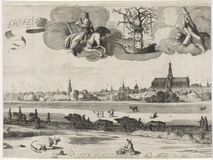 View of Haarlem C, The Netherlands, Jan van de Velde (II), Hugo Allard, 1652