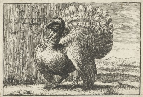 Landscape with turkey, Anonymous, Albert Flamen, after 1659 - 1741