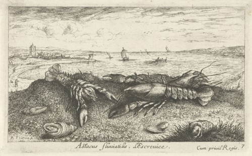 River Landscape with crayfish in the foreground, Albert Flamen, 1664