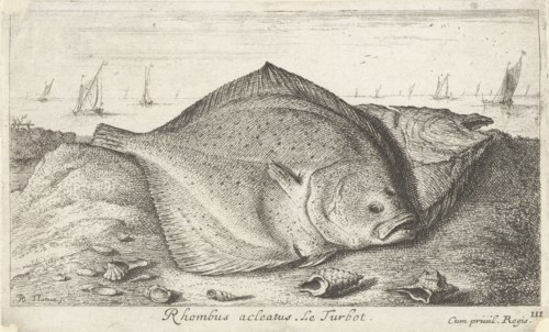 Two turbot on the beach, Albert Flamen, Jacques van Merlen, Lodewijk XIV (koning van Frankrijk),