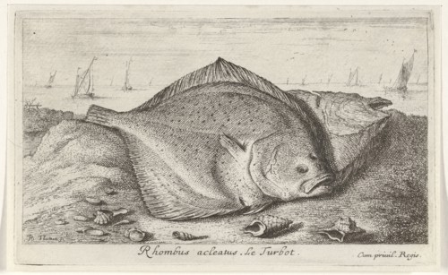 Two turbot on the beach, Albert Flamen, Jacques van Merlen, Lodewijk XIV (koning van Frankrijk),