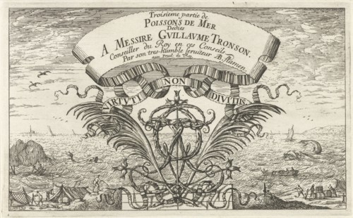Seascape, Albert Flamen, Jacques van Merlen, Lodewijk XIV (koning van Frankrijk), 1664