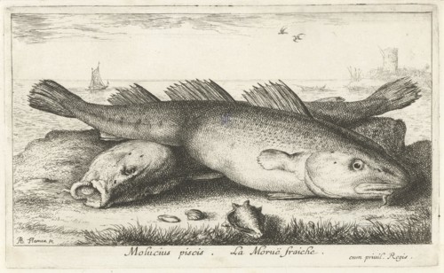 Two codfish at the beach, Albert Flamen, 1664