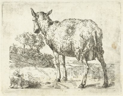 A sheep, Anonymous, Marcus de Bye, 1657 - c. 1800