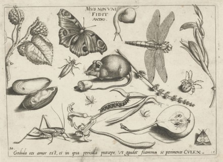Animals, plants and fruits around a mouse, Jacob Hoefnagel, Joris Hoefnagel, 1592