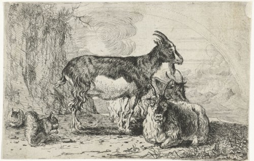 Goats, Jan van den Hecke (I), 1656